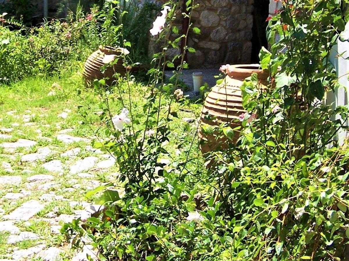 Apartment ανεξαρτητο στο ομορφο καστορειο Kastorion